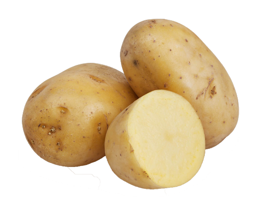 #99 Potatoes - 50 lbs